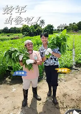 爱情电影评分解读专题配图